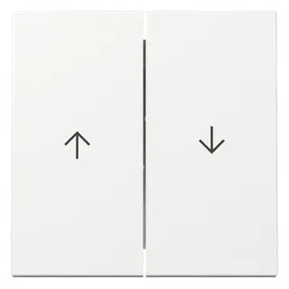 Gira Wippe 2f Pfeil System 55 Reinweiß