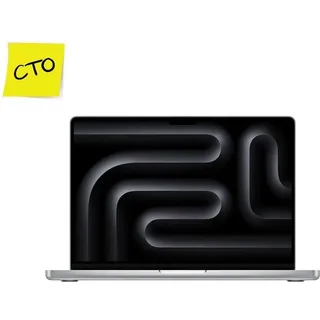 2024 M4 Pro 24 GB RAM 1 TB SSD 16-Core GPU Silber CZ1FB-001001