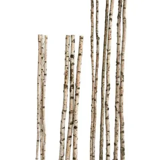iWerk Birkenstamm 90 cm, – Ø 2-4 cm) Birkenholz Birke Deko Holz