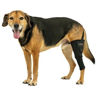 Tierarzt24 Neopren Knieprotektor rechts M