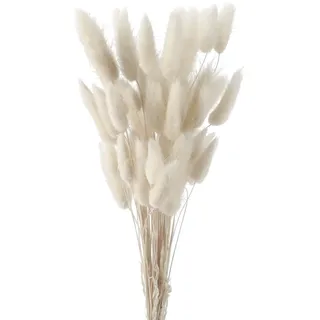 FENGCHUANG Pampasgras Getrocknet Trockenblumen, 45cm 50 Stück Getrocknete Natürliche Pampasgras Pflanzen Flauschige Trockenblumen (Weiss)