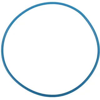 Oase Behälter Dichtung Filtoclear - Großer Dichtring für Deckel/Behälter Oase Filtoclear