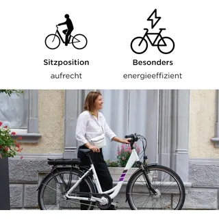 Zündapp Z502 28 Zoll RH 50 cm Damen antique white