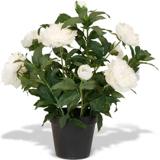 Pfingstrosen - Paeonia Kunstpflanze weiß