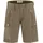 M Light Olive 50