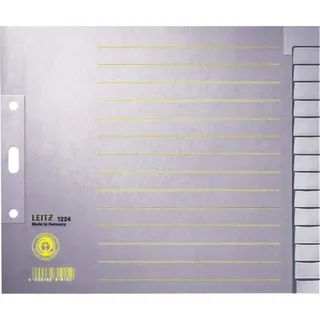 Leitz Register DIN A4 Überbreite blanko Tauenpapier grau