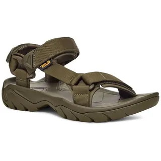 olive 43