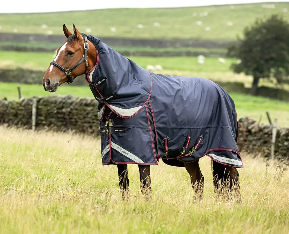 LeMieux Kudos Thermo Layer Turnout Rug 300g inkl. abnehmb. Halsteil, 206