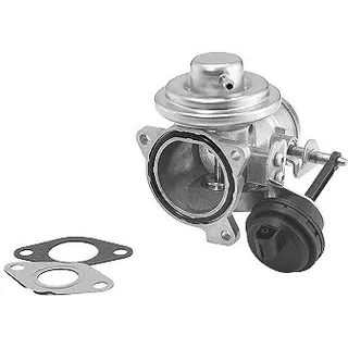 BorgWarner (Wahler) AGR-Ventil pneumatisch, mit Dichtungen