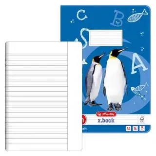 Herlitz Schulheft x.book Lineatur dm liniert DIN A4 ohne Rand, 16 Blatt
