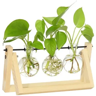 Warmhm Glaspflanzgefäß aus Glas und Holz mit Drehfunktion für Hydrokultur 3-flammige Zwiebelvase als Wohnaccessoire und Hochzeitsdekoration für Zuhause