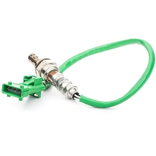 Magneti Marelli 466016355009