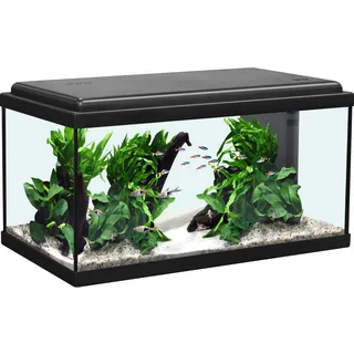 Aquatlantis Aquarium-Set Advance 60 LED Schwarz 54 l