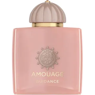 Amouage Odyssey Guidance Eau de Parfum 100 ml