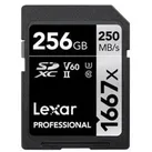 Professional SILVER 1667x - 250MB/s - 256GB