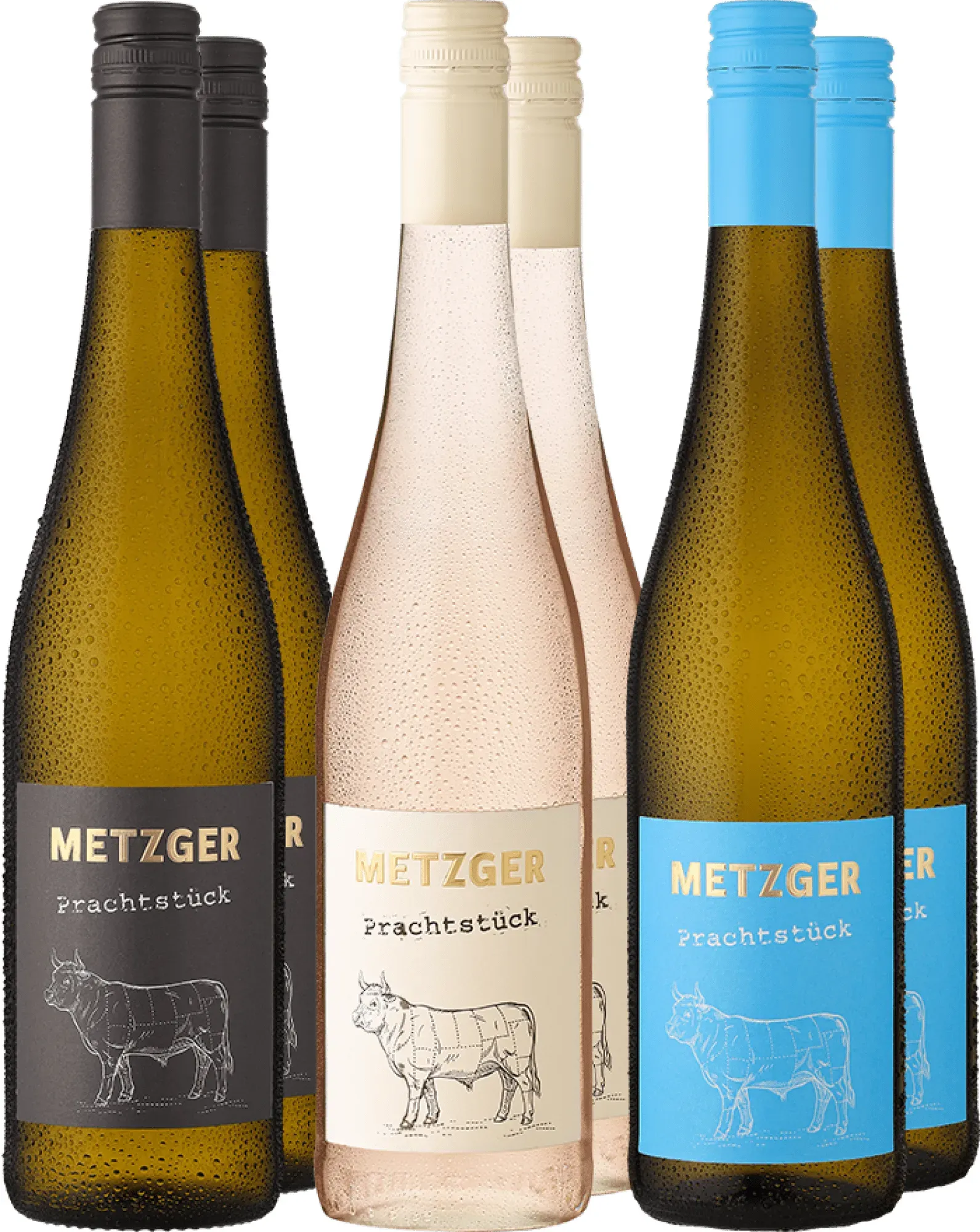 6er-Probierpaket »Weingut Metzger in Weiß«