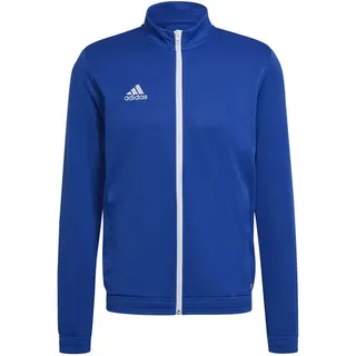 royal blue Gr. 2XL