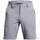 Taper Herren Shorts grau