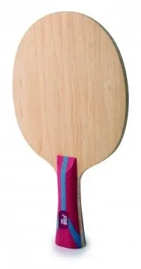 DHS Holz BO AC Carbon