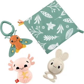 Fisher-Price Sensorische Erlebnisse Geschenkset, 4 sensorische Spielzeuge mit