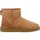 Chestnut 41