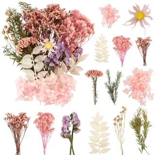 LAUMOE Trockenblumen, Getrocknete Blumen, Trockenblumen Zum Basteln Mini Trockenblumen Trockenblumen klein für Kunst Basteln DIY Harz Scrapbooking Handwerk Karten Mache