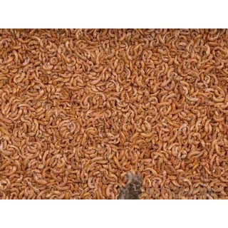 Gammarus Bachflohkrebse 3000ml