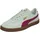 Sage Frost/Berry 46