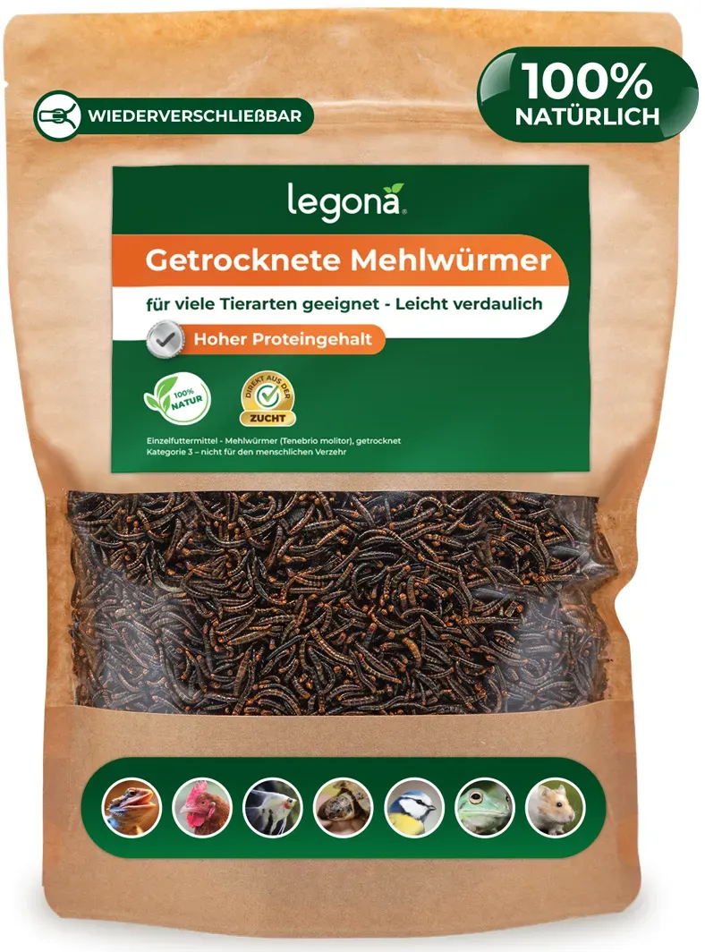 Getrocknete Mehlwürmer
