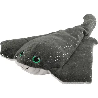 Manta-Rochen