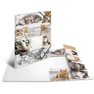 Herma Sammelmappe Tiere A3 katzen