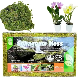Sphagnum Moos für Pflanzen Orchideen Terrarium Blumenerde Zimmerpflanzen und Reptilien, 150g Torfmoos Terrarienmoos Peat Moss Spagnummoos Natürliches Terrarien Substrat für Orchideen Moos (1 stück)
