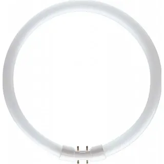Philips Master TL5 Circular 22W/840 2GX13