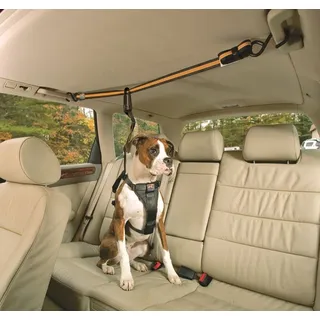 Kurgo Auto Zip Leine und Haltegurt für Hunde Autogurt Auto