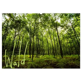 Calvendo Wald (Wandkalender 2026 DIN A2 quer), CALVENDO Monatskalender