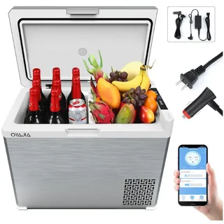 oyajia Kühlbox Kompressor Kühlbox 40L, Kühlbox Auto Mit APP-Steuerung, 12/24V, 40 l, 100-240V Kühlbox Elektrisch, bis -20 °C für Auto, LKW, Boot, Camping silberfarben