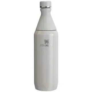 Stanley All Day Slim Bottle Wasserflasche aus Edelstahl Ash Gloss 600 ml