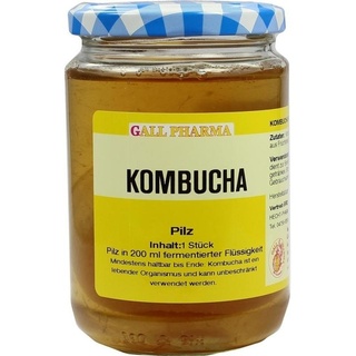 Hecht Pharma Kombucha Teepilz