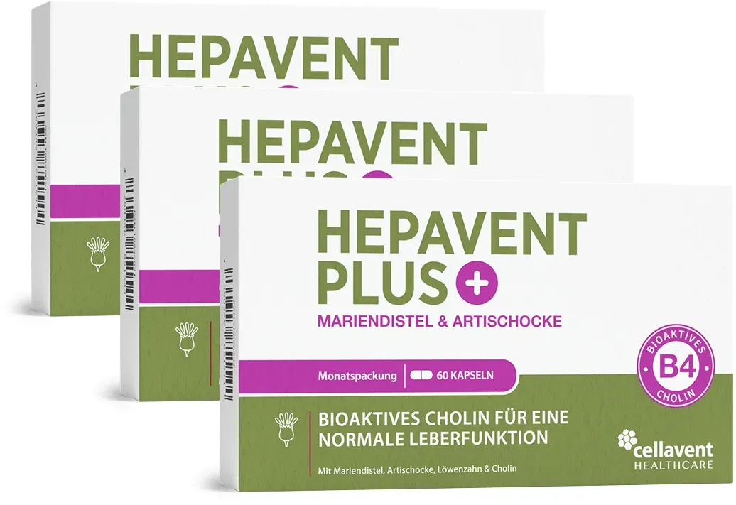 Leberkur Cholin Kapseln - Hepavent PLUS 3 Monate
