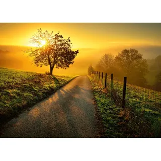 Ravensburger Puzzle 1000 Teile Landschaft in Morgensonne - Farbenfrohes Puzzle für Erwachsene und Kindern in bewährter Qualität