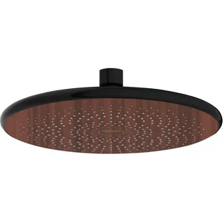 Wenko Regenduschkopf Watersaving Wood