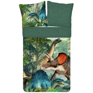 ESPiCO Kinderbettwäsche Dinos Trendy Bedding, Renforcé, 2 teilig, Dinosaurier, Urwald grün