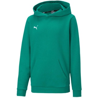 Puma Unisex Kinder Teamgoal 23 Casuals Hoody Jr Hoodie, Pepper Green, 128