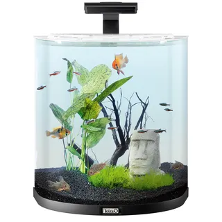 Tetra Aquarium 60L Schwarz