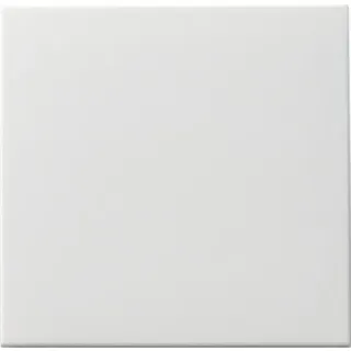 Gira Wippschalter rws-matt 091627