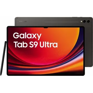 14.6" 256 GB Wi-Fi Graphite