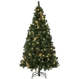 Dehner Künstlicher LED-Weihnachtsbaum Aron, ca. 210 cm, grün