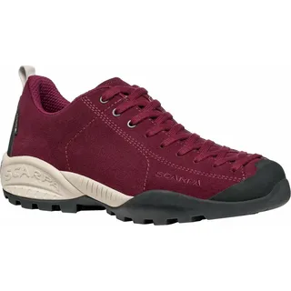 raspberry 40,5