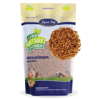 1 - 15 kg Lyra Pet® Mehlwürmer für Nager - 4 kg