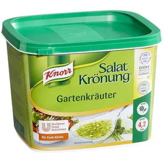 KNORR Knorr® Gartenkräuter Salatdressing 500,0 g
